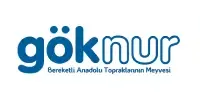 Göknur — Villa