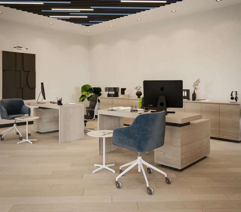 Secretary, Wooden office decoration, Executive room decoration, The most stylish office designs