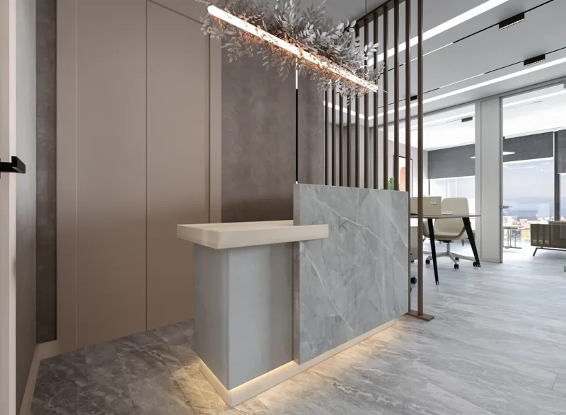 Executive room, Luxury office decoration ankara, Office design ankara