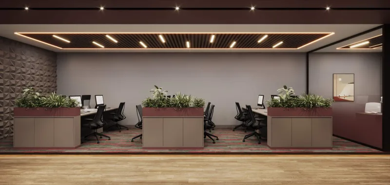 Manager office, Office design ankara
